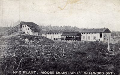Looking Back at the Town of Sellwood